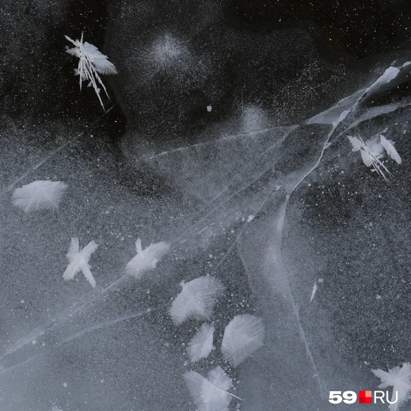 Кажется, ледяные цветы парят над рекой… | Источник: Тимофей Калмаков / 59.RU
