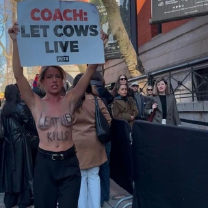 «Откажитесь от кожи»: активисты PETA сорвали показ Coach на Неделе моды в Нью-Йорке