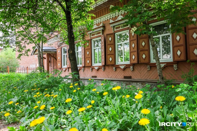 Так и хочется упасть в это облако одуванчиков и не думать ни о чем | Источник: Ксения Филимонова / IRCITY.RU