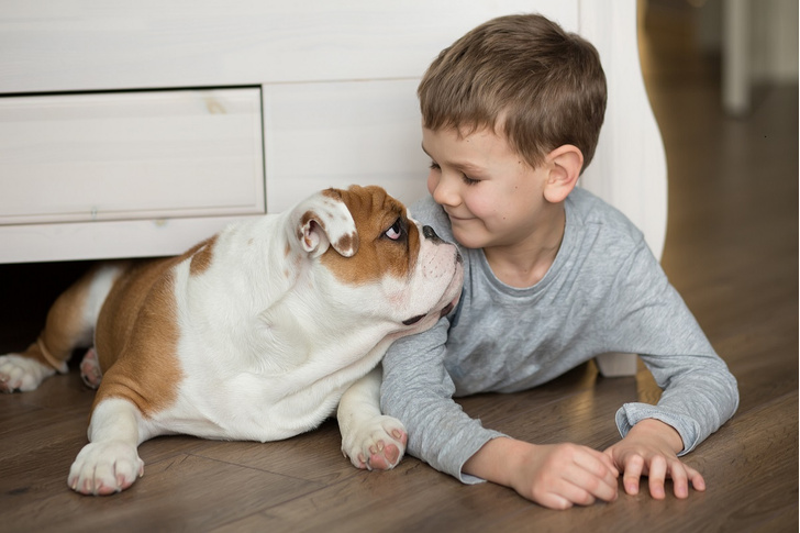 «Мам, хочу собаку!» 7 веских причин завести ребенку питомца