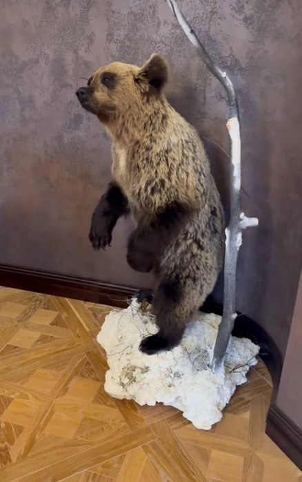 Источник: соцсети