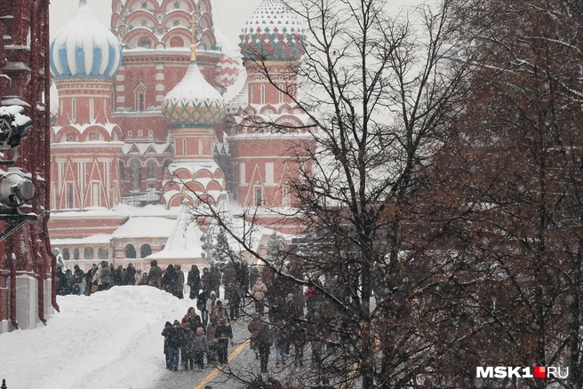 Снегопады в Москве продлятся как минимум до четверга | Источник: Артём Устюжанин / MSK1.RU