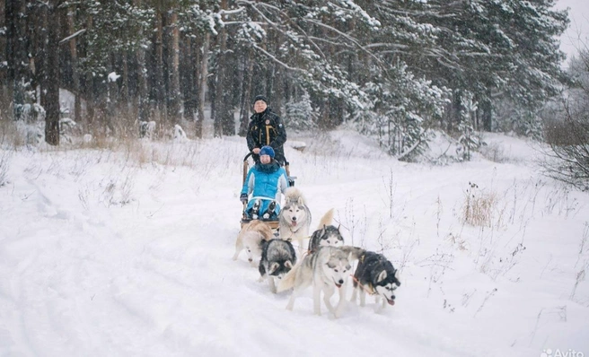 Пример фото с катания | Источник: Avito.ru