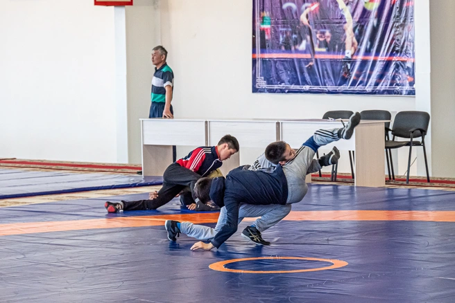 В программе мероприятия — мастер-классы и поединки в различных весовых категориях | 142.ru