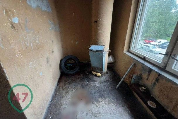 Появились фотографии из дома во Всеволожске, где новорожденную оставили в коробке у мусоропровода | Источник: 47news