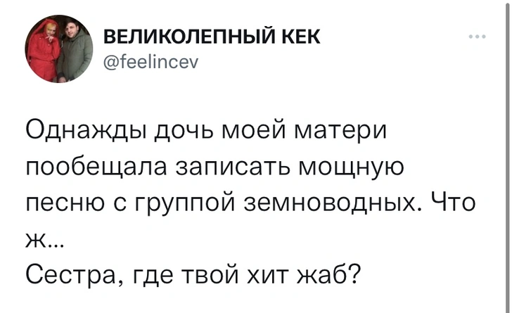 Шутки среды и хит жаб