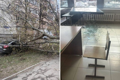 Шторм в Казани: ветер обрывает провода, валит деревья, бьет окна
