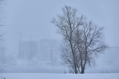 Изморозь и гололед: прогноз погоды в Новосибирской области