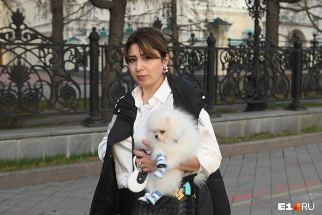 Особо опасных собак лучше не спускать с рук | Источник: Дмитрий Емельянов / E1.RU