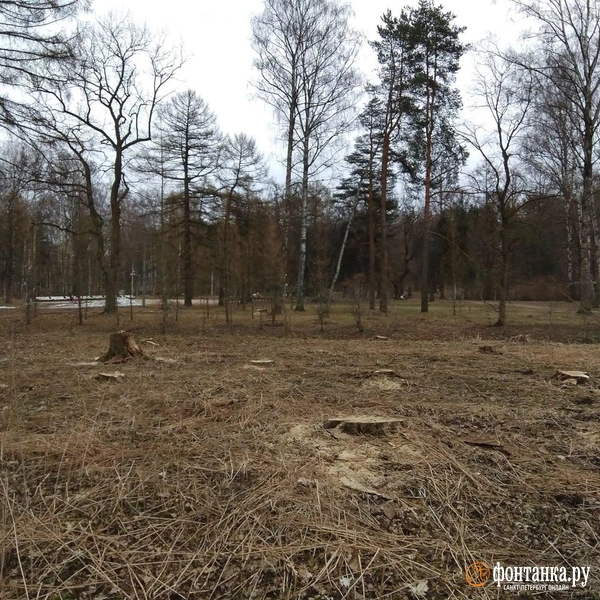 Источник: читатель «Фонтанки»