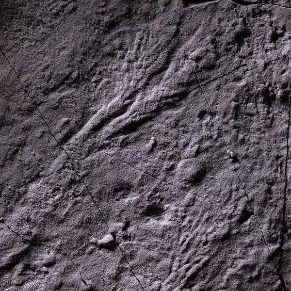 Отпечаток эдиакарского мягкотелого организма. | Источник: Gondwana Research/Anton Kolesnikov et al. 