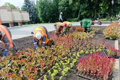 В Липецке обновляют городские клумбы