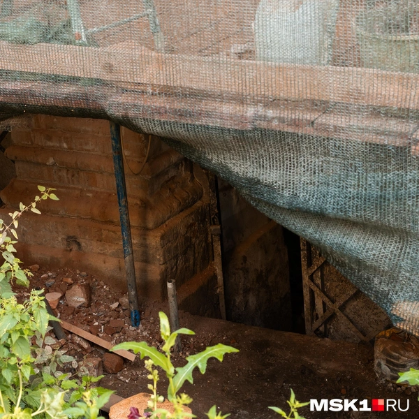 Источник: Дарья Шутова / MSK1.RU