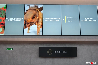 Билеты в Пермскую галерею: нужно ли покупать заранее