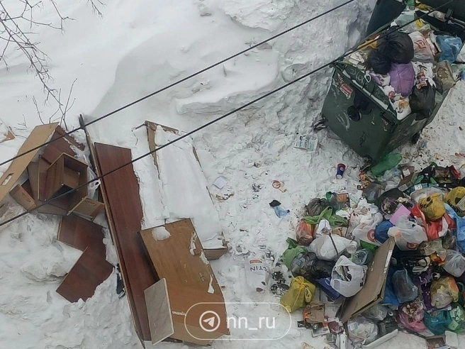 Во дворе дома №14 на улице Даргомыжского образовалась крупная мусорная куча. | Источник: читатель NN.RU
