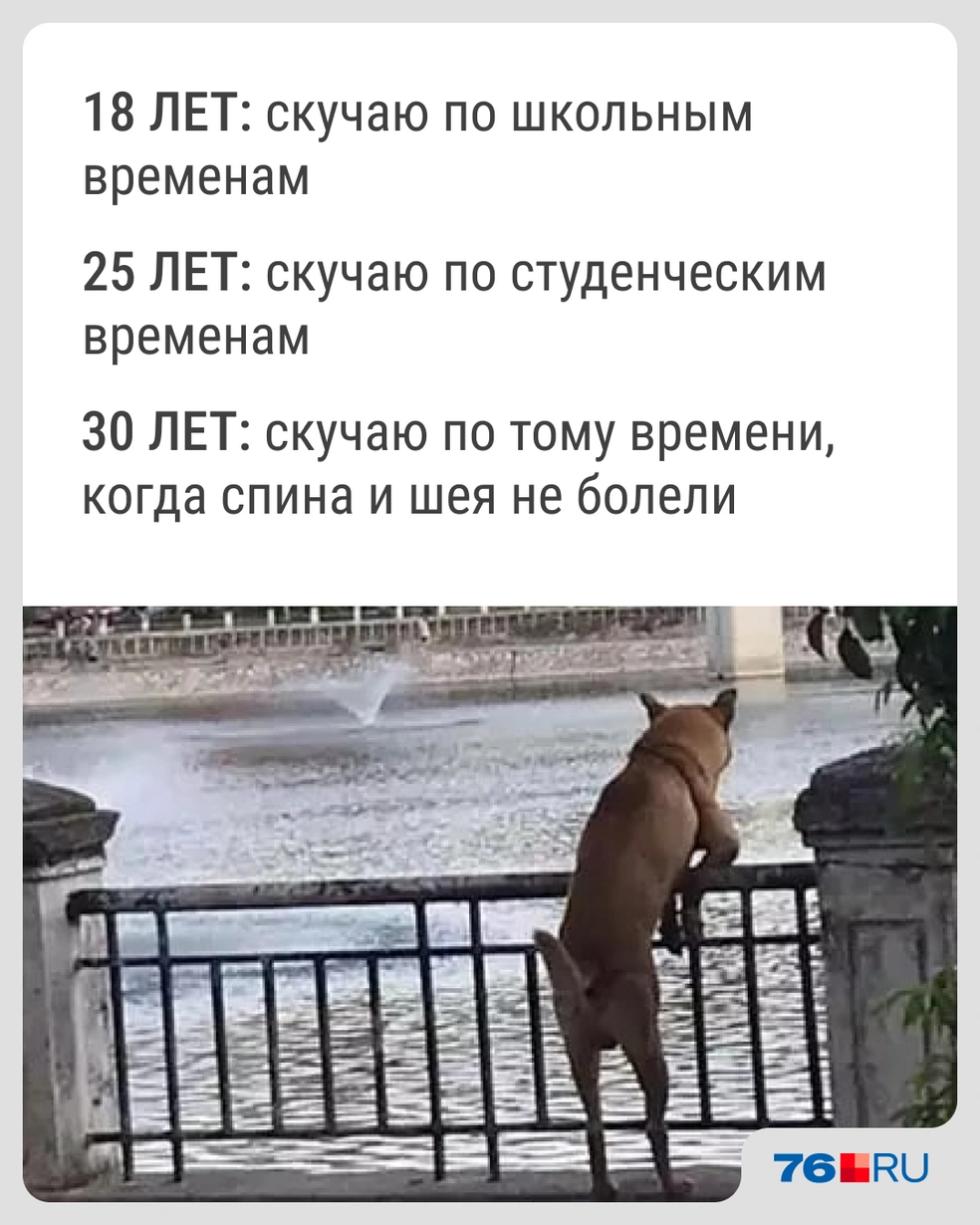 Золотые времена | Источник: Городские медиа