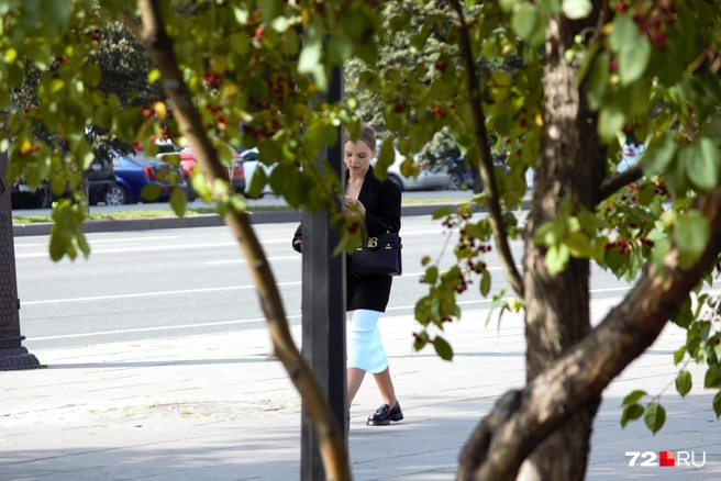 Еще чуть-чуть&nbsp;— и уже золотая осень. Пока же в городе зелено | Источник: Павел Красоткин / 72.RU 