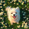 userpic__DdDKD