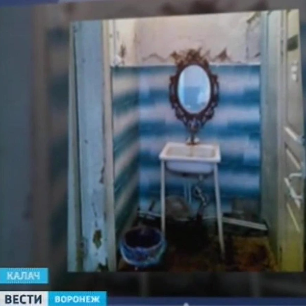 Источник: «Вести Воронеж» / vestivrn.ru