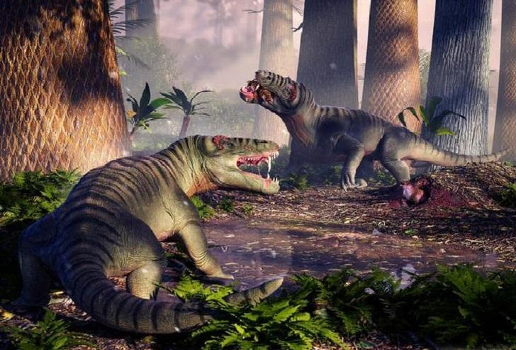 Найден череп «страшноголового»: посмотрите на гигантского хищника, ужасавшего Южную Америку задолго до динозавров