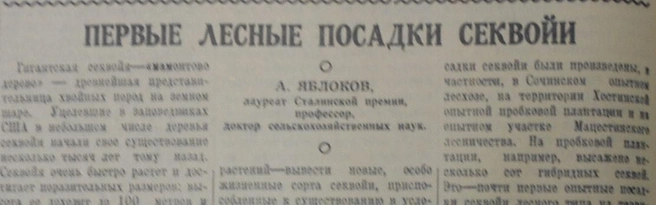 Статья Яблокова в сочинской газете «Красное знамя» | Источник: предоставлено Владимиром Костиниковым 