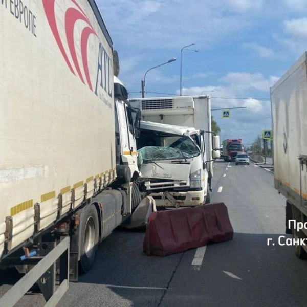 Источник: Прокуратура Санкт-Петербурга