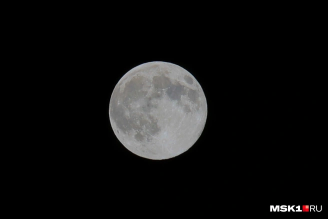 Источник: Артем Устюжанин / MSK1.RU