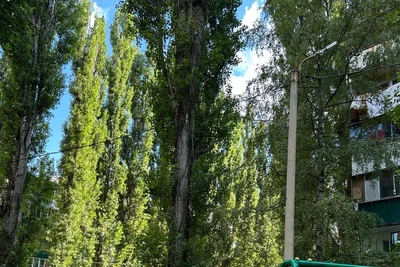 В Липецке обновят освещение в 15-м микрорайоне