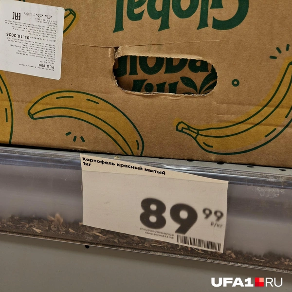 Источник: Булат Салихов / UFA1.RU