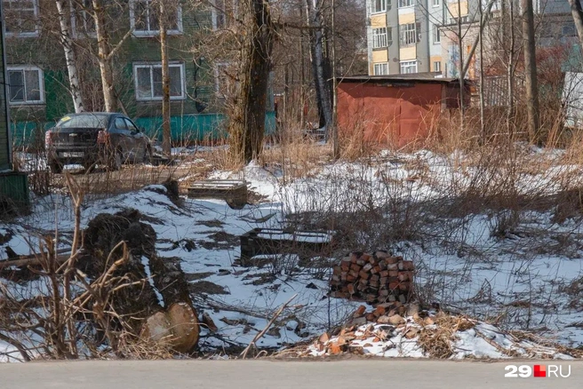 Источник: Иван Митюшёв / 29.RU