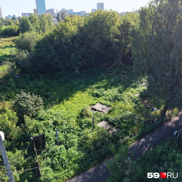 Раньше здесь был загон для коз, а сейчас&nbsp;— пустырь с высокой травой | Источник: Кирилл Хафизов / 59.RU