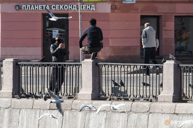 «Сейчас очень интересный процесс». Гидрометцентр обещает улучшение погоды | Источник: Михаил Огнев / «Фонтанка.ру» / Архив