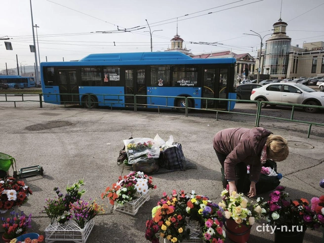 Источник: www.city-n.ru