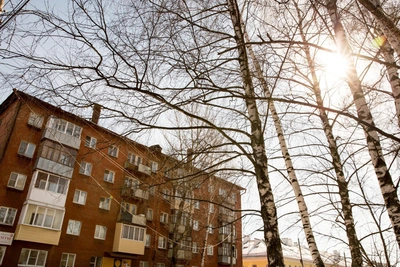 В Алтайском крае ожидается весеннее потепление