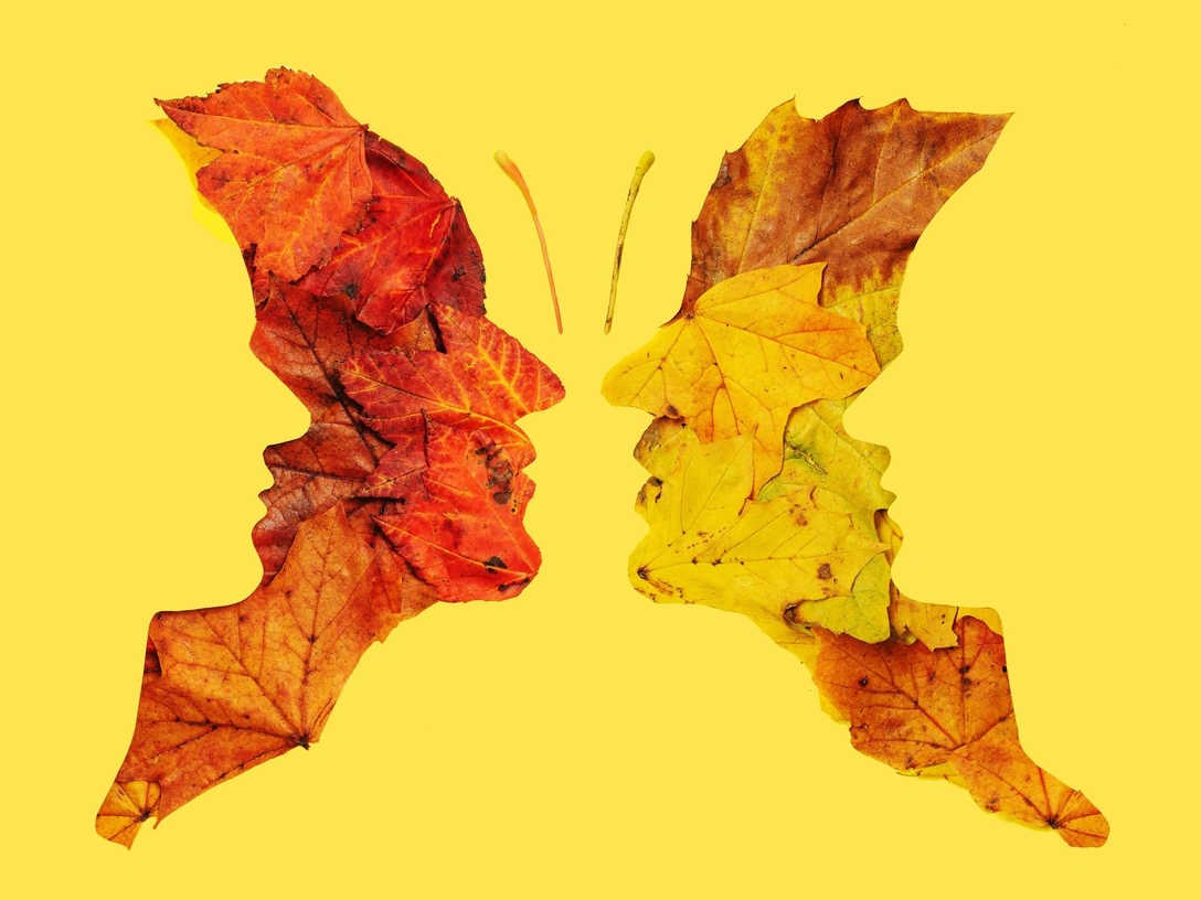 Тест: только те, у кого зрение 20/20, могут обнаружить 11 скрытых символов в загадочной оптической иллюзии | marieclaire.ru