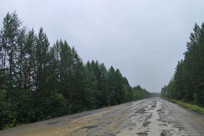 Временный мост через Ушаковку запустят 20 марта