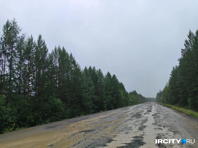 Голоустненский тракт особенно прекрасен в дождь | Источник: Алина Ринчино / «ИрСити»