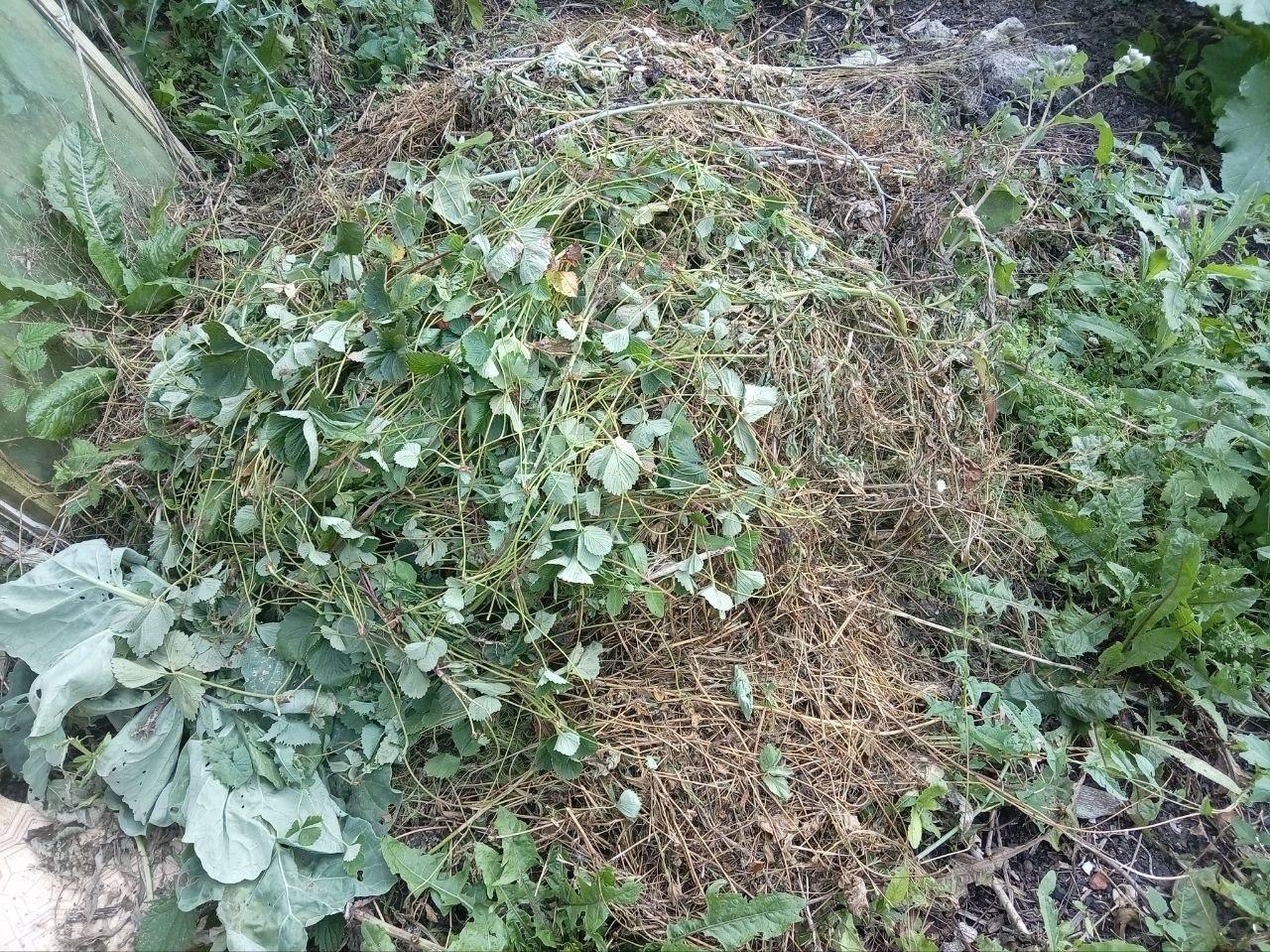 Моя компостная яма из листьев и стога сена — котёл плодородия: в октябре заливаю жижу, к весне — жи…
