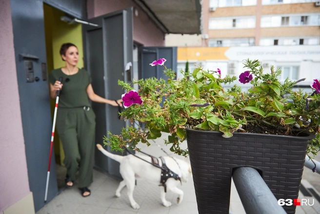 — Если иду куда-то без Геры, то теряю в скорости, уверенности, постоянно в какие-то бордюрчики или скамеечки врезаюсь | Источник: Роман Данилкин / 63.RU