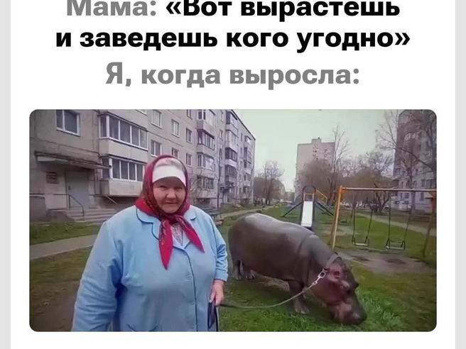 Мечта исполнилась | Источник: Городские медиа