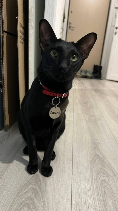 Источник: «Фонтанка.ру»