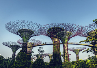 Место дня. «Сады у залива» (Сингапур)