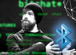 Bitchat: как работает новый мессенджер от основателя Twitter