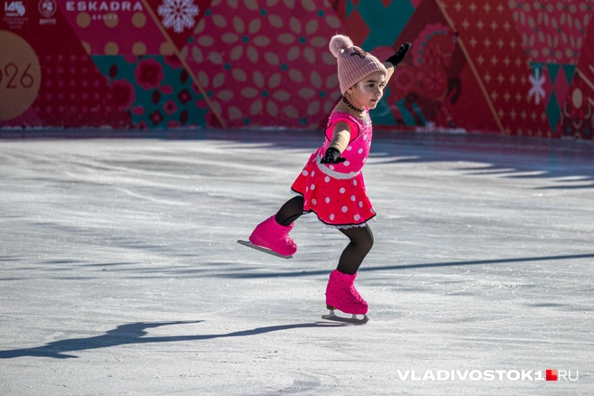 Источник: Елена Буйвол / VLADIVOSTOK1.RU