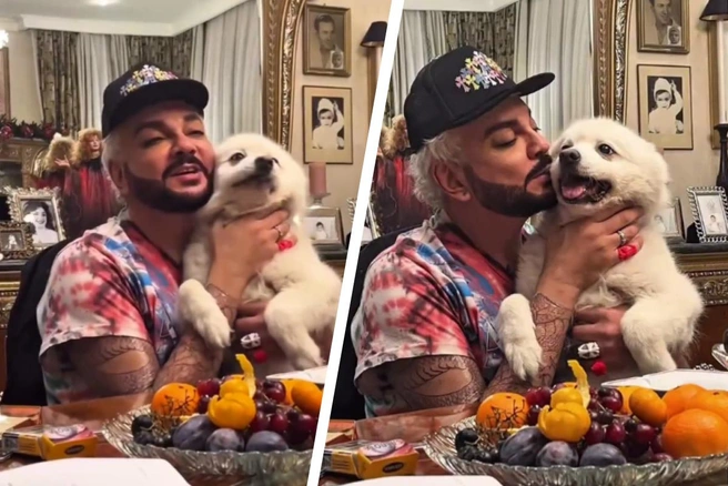 Он назвал собаку «пушистым дворецким» | Источник: fkirkorov / Instagram* (экстремистская организация, деятельность запрещена на территории РФ)