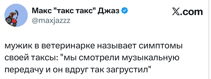 Источник: X (Twitter)