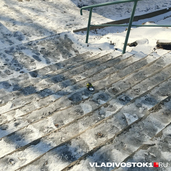 Источник: Елена Буйвол / VLADIVOSTOK1.RU