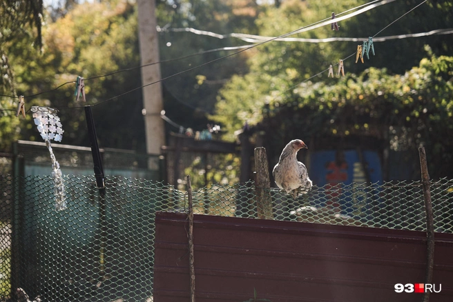 Люди годами ждут переселения из опасной зоны. И всё никак не дождутся | Источник: Дарья Паращенко / 93.RU