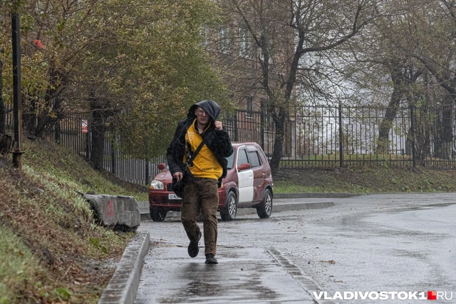 Сильный ветер будет в Забайкалье | Источник: Елена Буйвол / VLADIVOSTOK1.RU