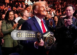 Когда и зачем Трамп собирается провести бой UFC в Белом доме